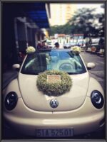 Trang trí xe hoa tươi