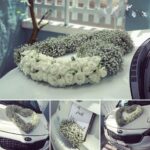 Trang trí xe hoa tươi